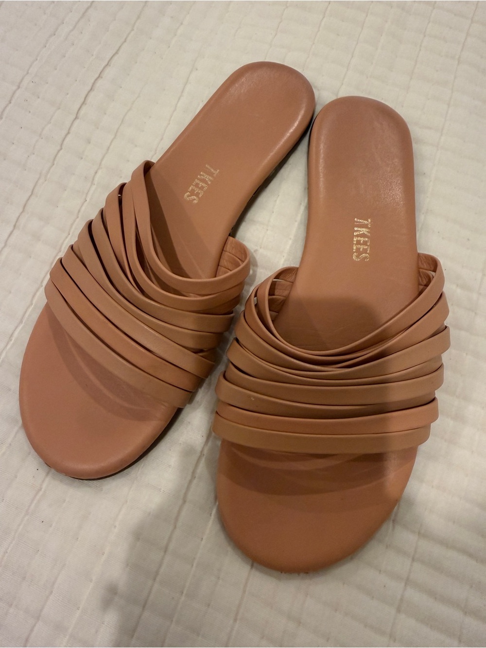 Tkees Caro Pout slides